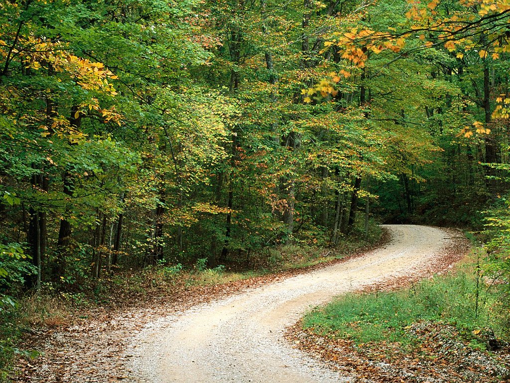 Country Road in Autumn, Nashville, Indiana